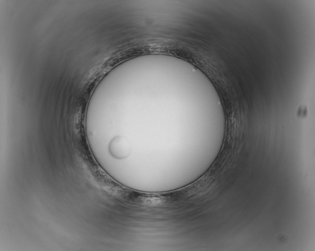 X0000112000698200908031046