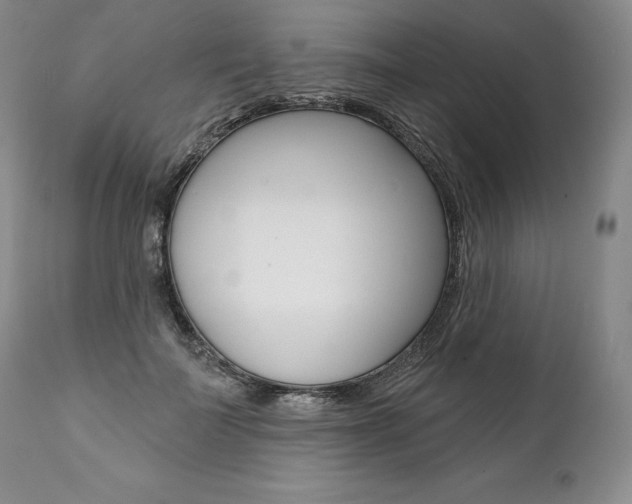X0000112000699200908031046