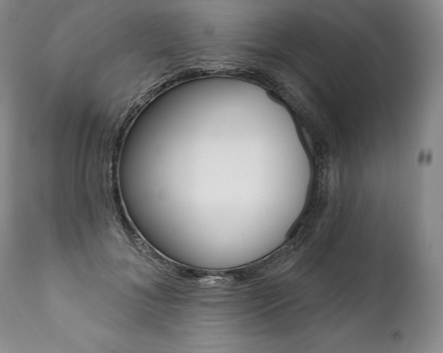 X0000112000700200908031046