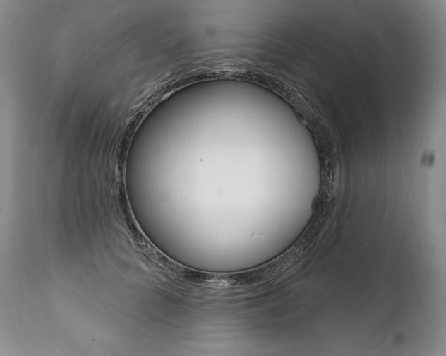 X0000112000704200908031046