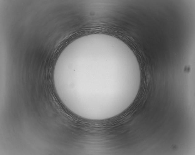 X0000112000705200908031046