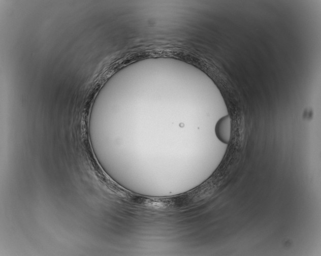 X0000112000706200908031046