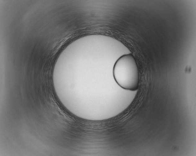 X0000112000708200908031046