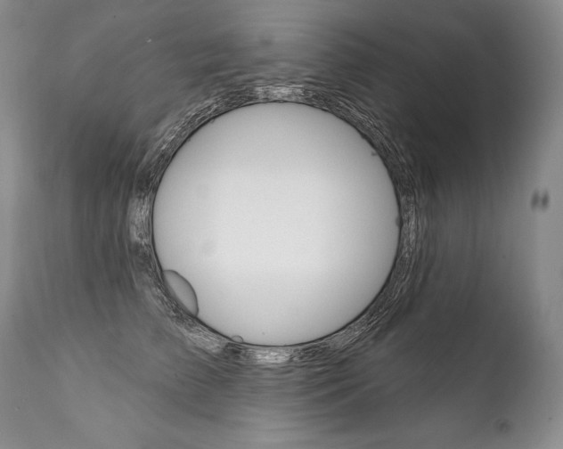 X0000112000709200908031046