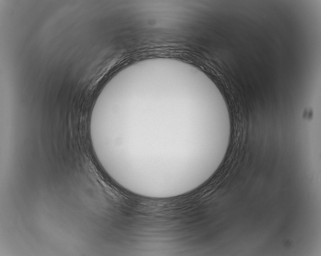 X0000112000712200908031046
