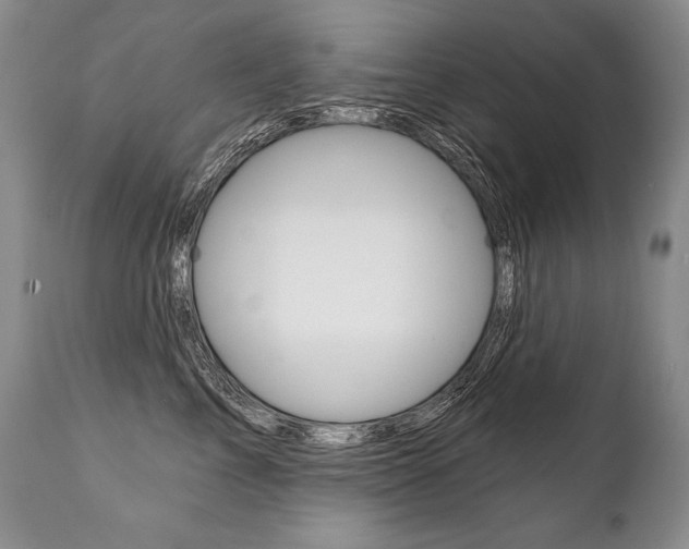 X0000112000713200908031046