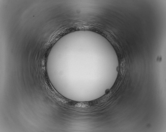 X0000112000714200908031046
