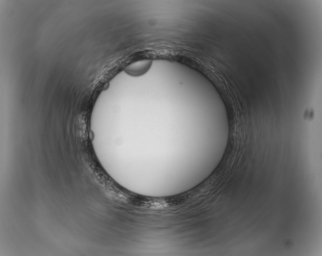 X0000112000715200908031046