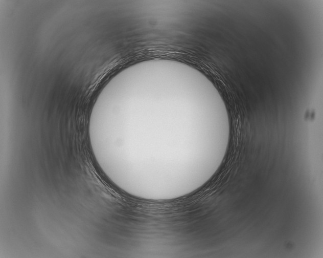 X0000112000716200908031046