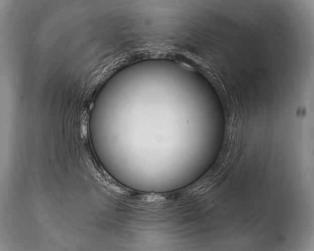 X0000112000719200908031046