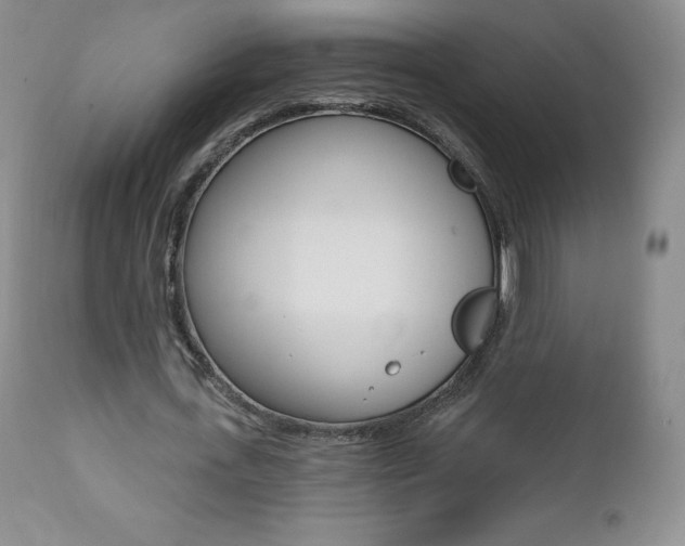 X0000112000723200908031045