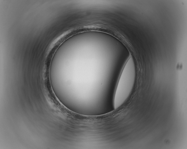 X0000112000724200908031045