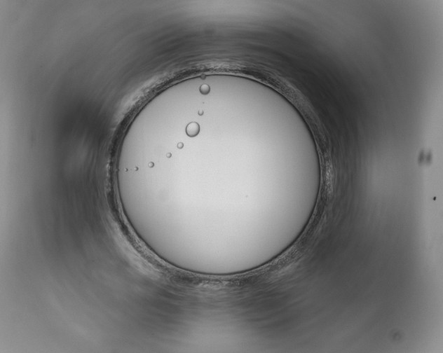 X0000112000725200908031045
