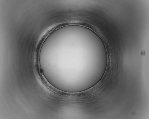 X0000112000726200908031045