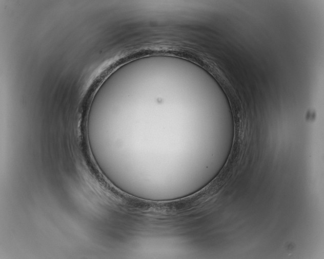 X0000112000727200908031045