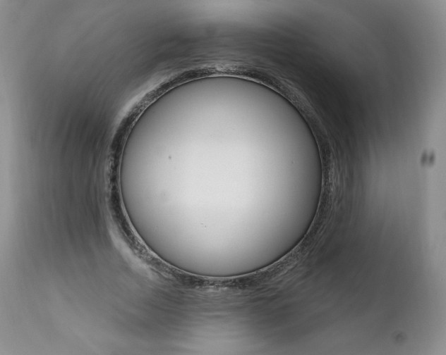X0000112000730200908031045