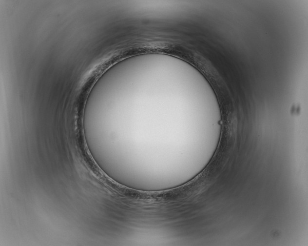 X0000112000731200908031045