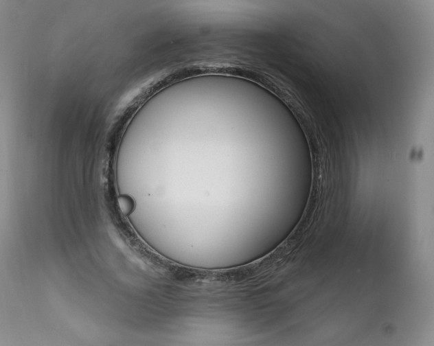 X0000112000732200908031045