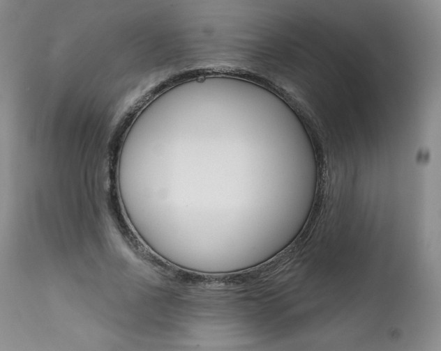 X0000112000734200908031045