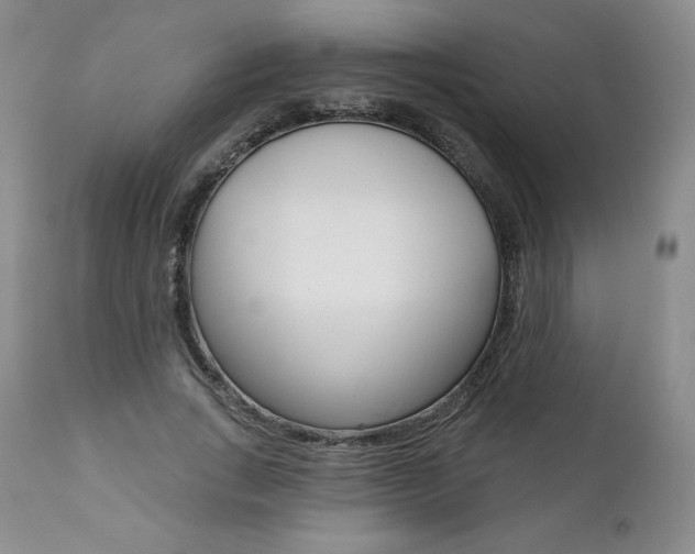 X0000112000735200908031045