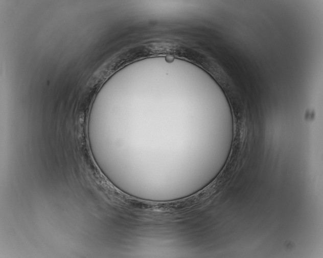 X0000112000737200908031046