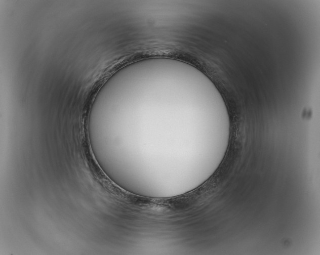 X0000112000743200908031046