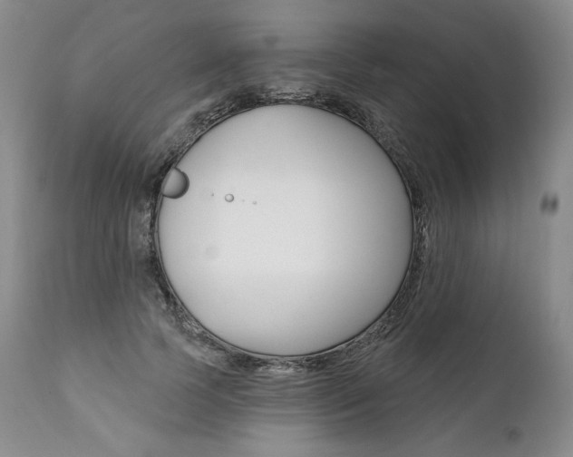 X0000112000745200908031046