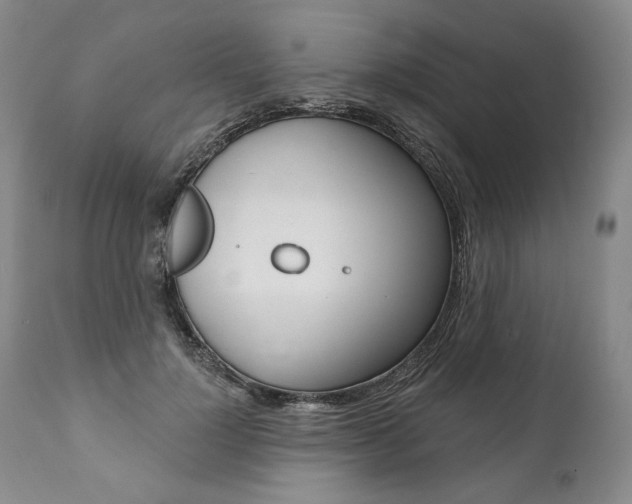 X0000112000748200908031046