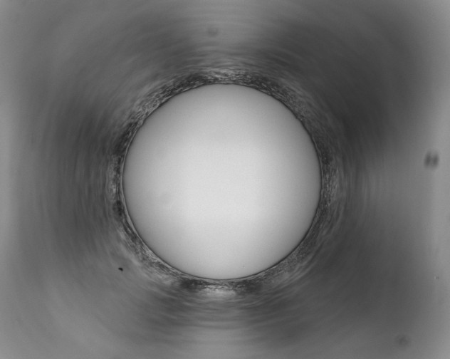 X0000112000749200908031046