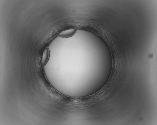 X0000112000750200908031046