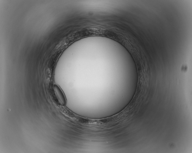 X0000112000752200908031046