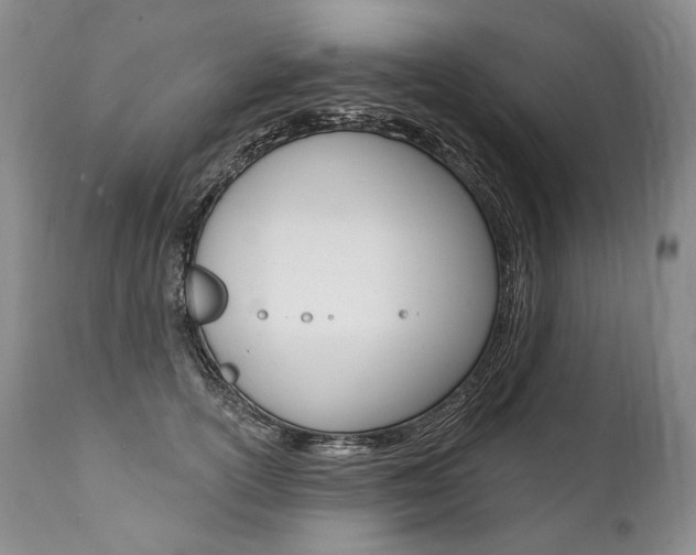 X0000112000754200908031046