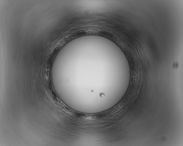 X0000112000755200908031046