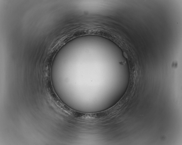 X0000112000756200908031046