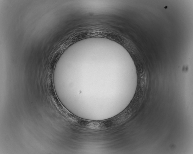 X0000112000757200908031046