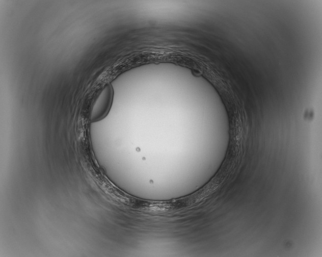 X0000112000758200908031046