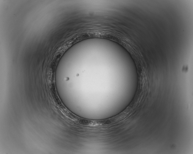 X0000112000760200908031046