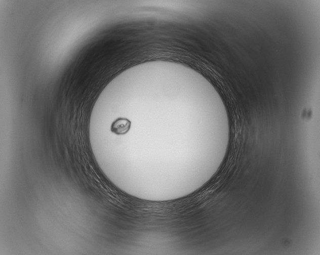 X0000112000762200908031046