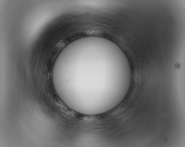 X0000112000763200908031046