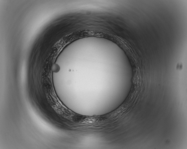 X0000112000764200908031046