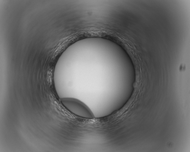 X0000112000768200908031046