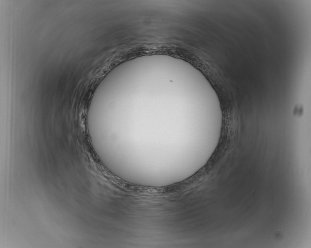 X0000112000770200908031045