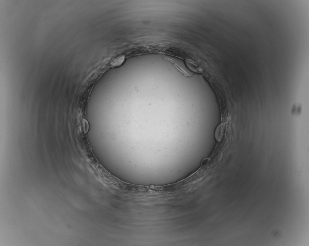 X0000112000772200908031045