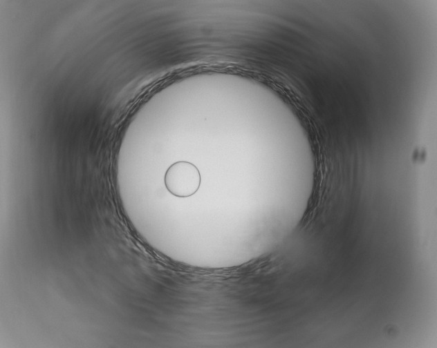 X0000112000773200908031045
