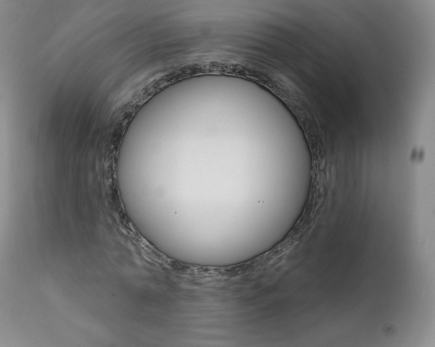 X0000112000774200908031045