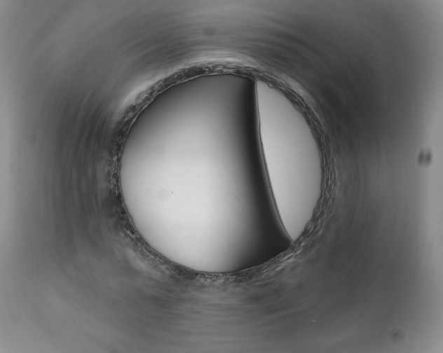 X0000112000775200908031045
