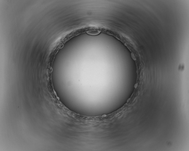 X0000112000776200908031045
