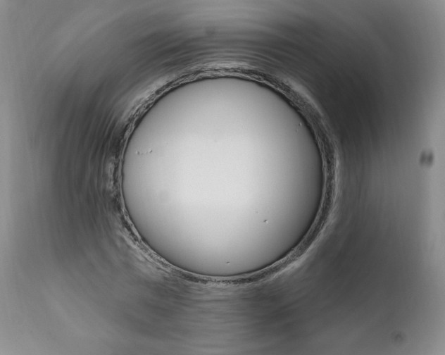 X0000112000777200908031045