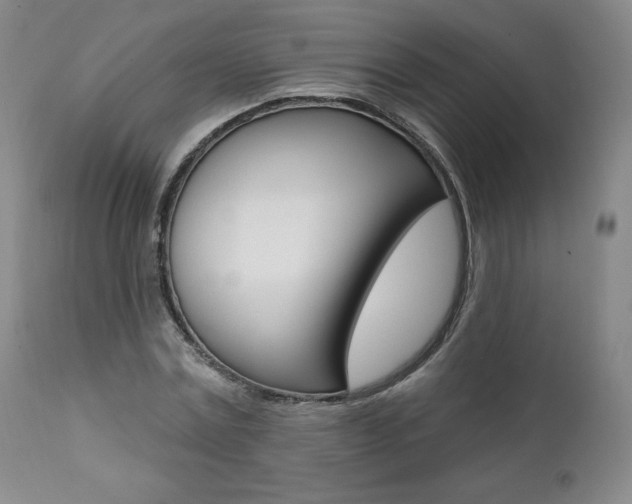 X0000112000779200908031045