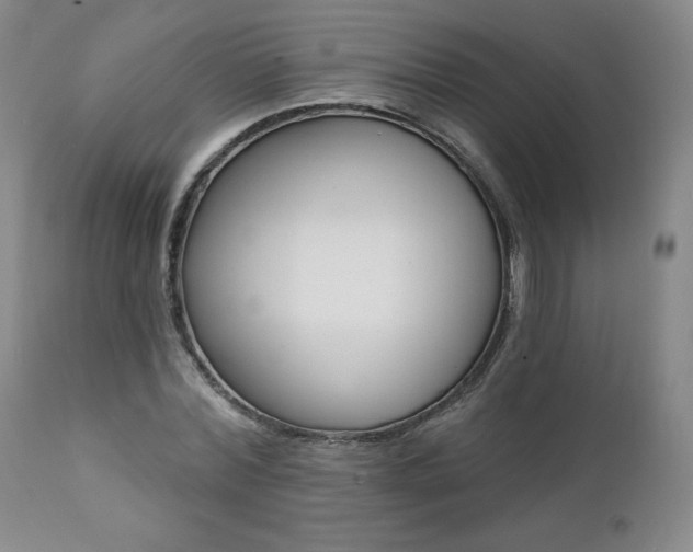 X0000112000780200908031045